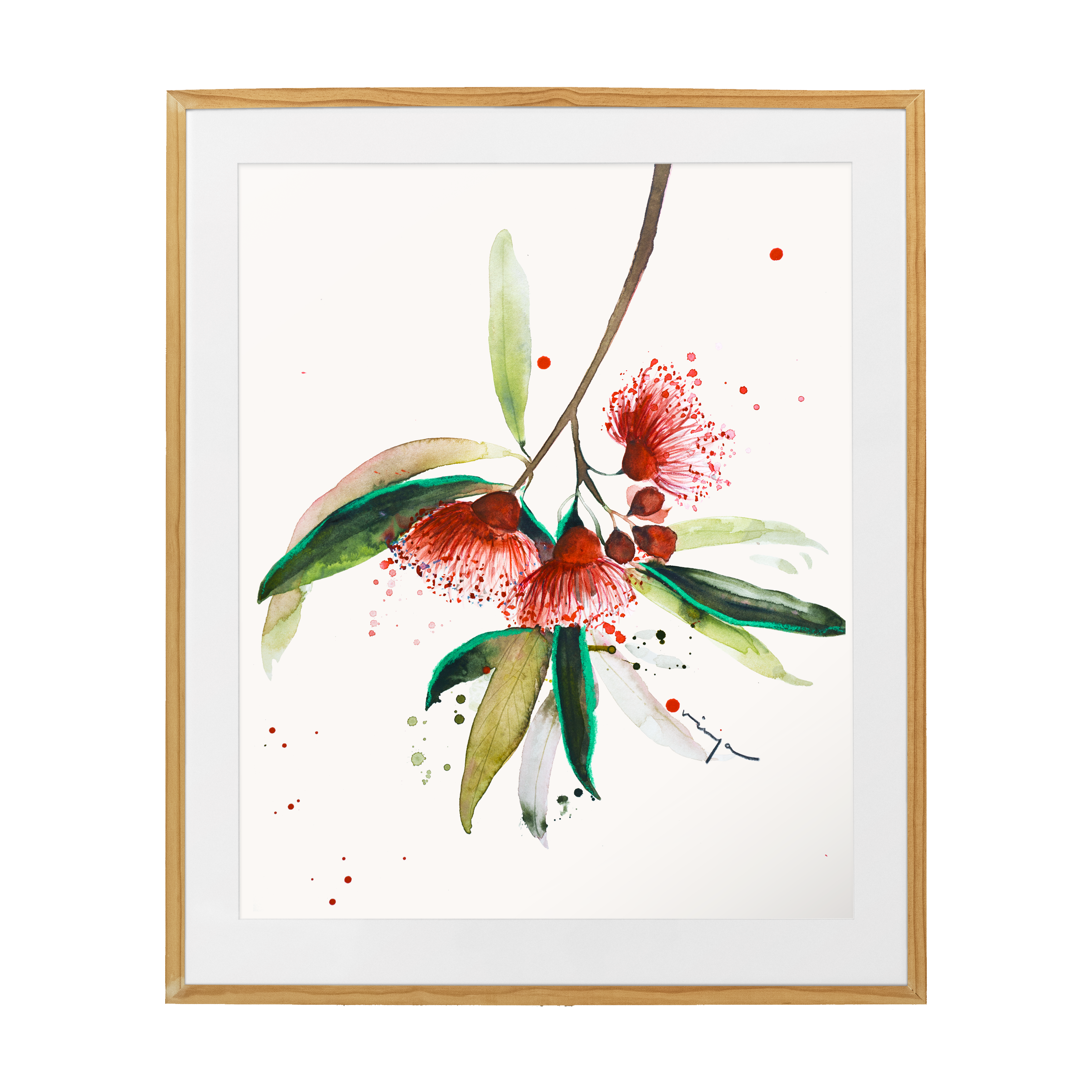 Flowering Gum Fine art print