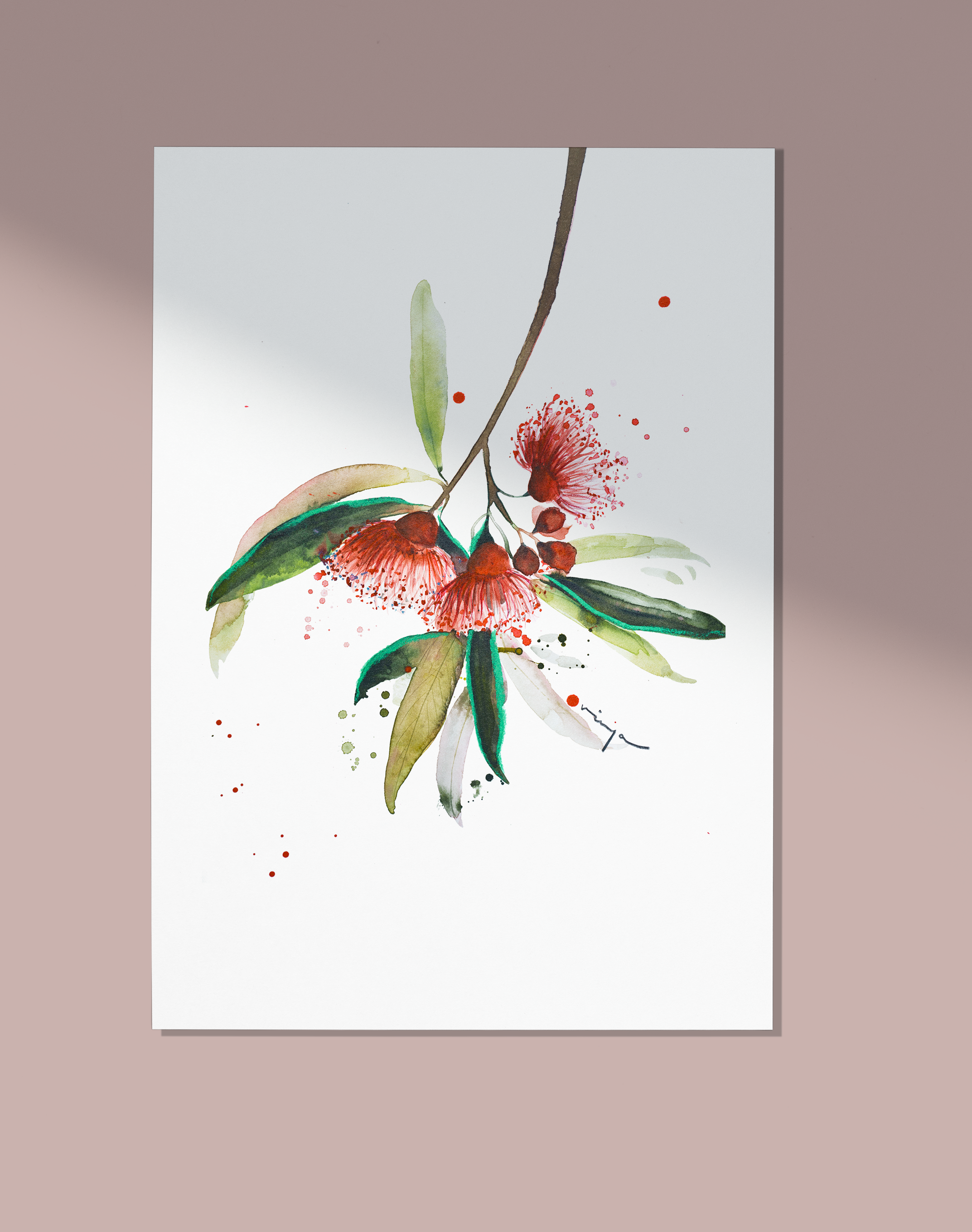 Australian Native Flora (Set of 3) :