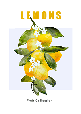 Lemon Zest: Contemporary Modern watercolour FineArt Print