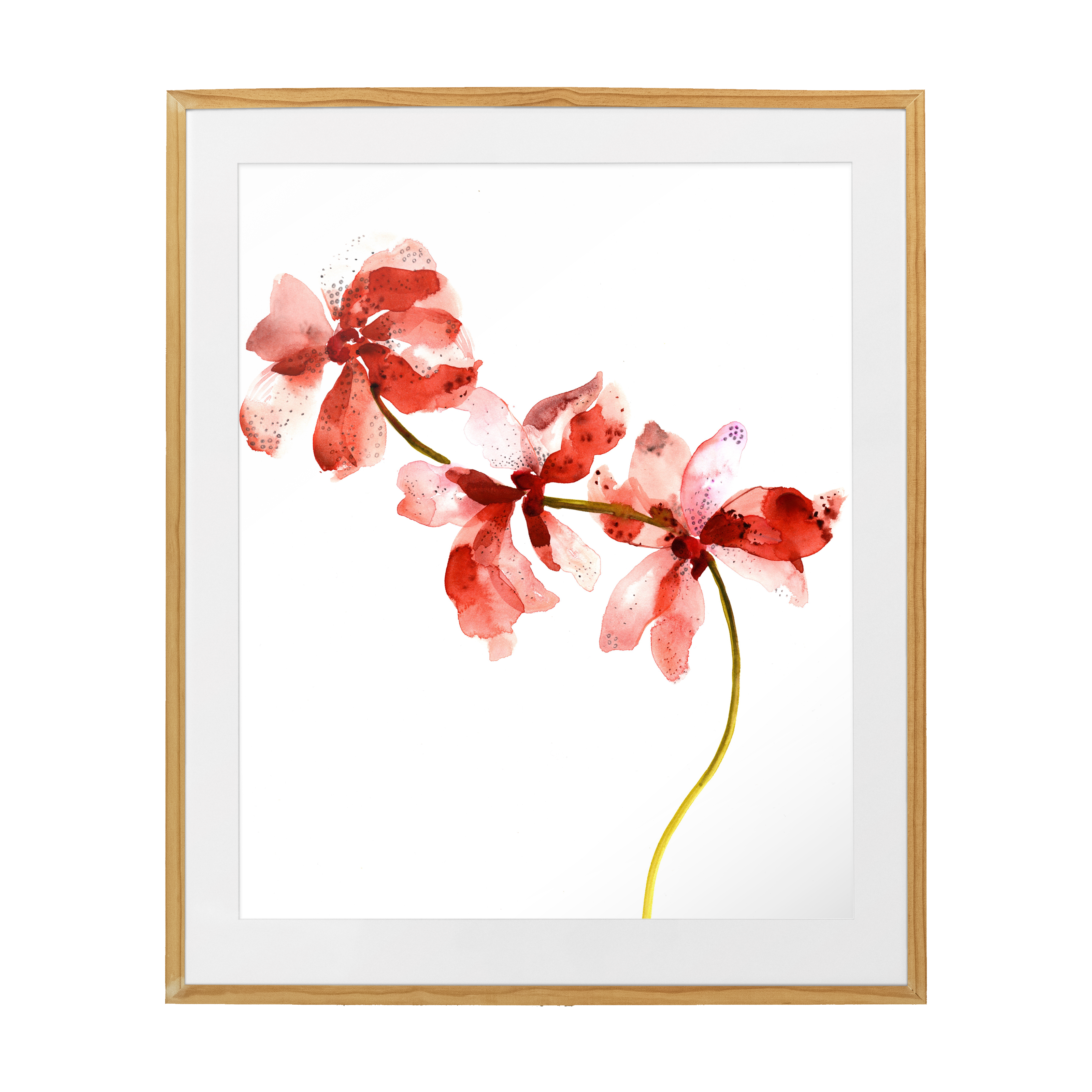 Orchid fine art print