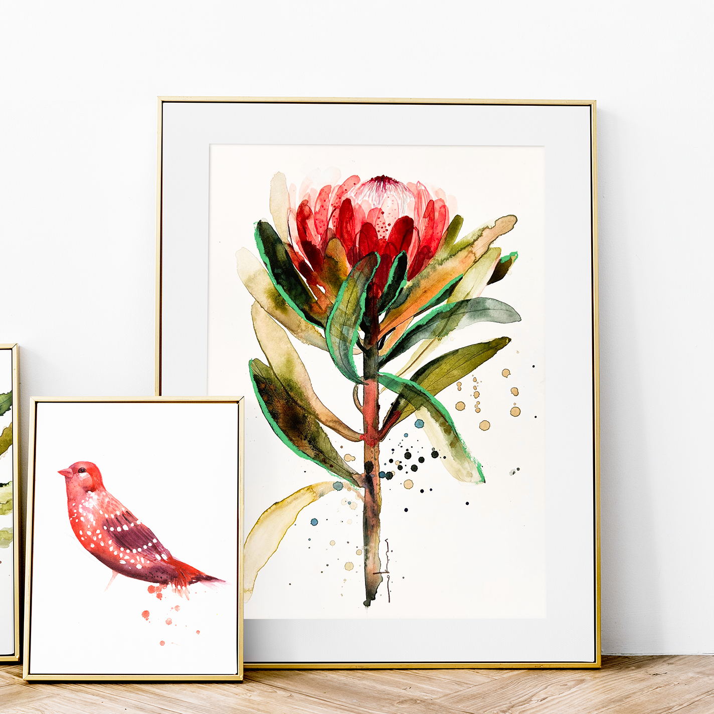 Protea watercolour fine art print